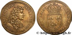 LOUIS XIV LE GRAND ou LE ROI SOLEIL Conrad Lauffer n.d.