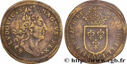 LOUIS XIV LE GRAND ou LE ROI SOLEIL Jeton de compte n.d.