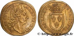 LOUIS XIV LE GRAND ou LE ROI SOLEIL Jeton de compte n.d.