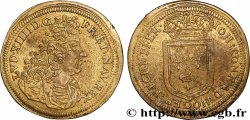 LOUIS XIV LE GRAND ou LE ROI SOLEIL Jean-Conrad Höger n.d.