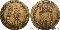 LOUIS XIV LE GRAND ou LE ROI SOLEIL Conrad Lauffer n.d.