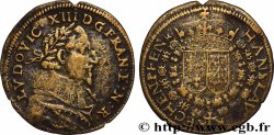LOUIS XIII THE JUST MAN Hans Laufer n.d.