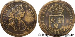 LOUIS XIV LE GRAND ou LE ROI SOLEIL Conrad Lauffer n.d.
