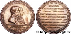 FRANZOSISCHES KONSULAT Médaille BR 60, Colonne Départementale SS