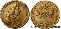 LOUIS XIV LE GRAND ou LE ROI SOLEIL Émission au type des Bâtiments du Roi 1672