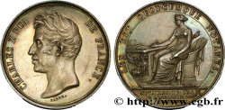 NOTAIRES DU XIXe SIECLE Notaires de Rouen (Charles X) 1826