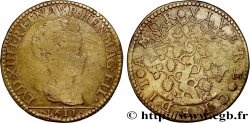 LOUIS XIII THE JUST MAN Sous le règne de Henri IV 1611