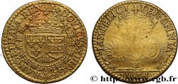 LOUIS XIII LE JUSTE Format d’un double tournois 1614