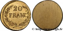 FRANCE - MONETARY WEIGHT Poids monétaire pour 20 francs or n.d.