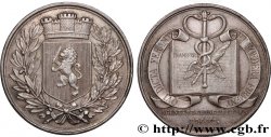 LYON AND THE LYONNAIS AREA (JETONS AND MEDALS OF...) Lyon Agents de change 1801