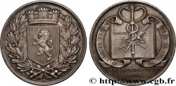 LYON AND THE LYONNAIS AREA (JETONS AND MEDALS OF...) Lyon Agents de change 1801