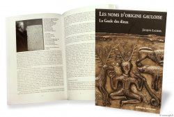 Les Noms d&nbsp;origine Gauloise : la Gaule des Dieux LACROIX Jacques