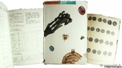 Le trésor d Eauze SCHAAD D.