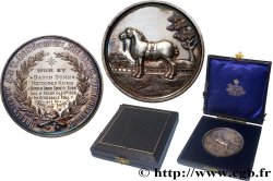 GREAT-BRITAIN - EDWARD VII Médaille, Concours, Border Union Society Show
