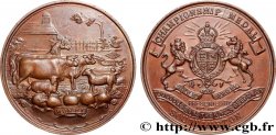UNITED KINGDOM Médaille, Championship medal