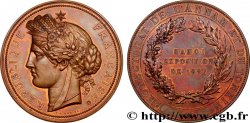 INDOCHINE FRANÇAISE - PROTECTORAT DU TONKIN - TROISIÈME RÉPUBLIQUE Médaille, Exposition d’Hanoi SUP