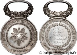 TROISIÈME RÉPUBLIQUE Médaille, Société de gymnastique et d’instruction militaire