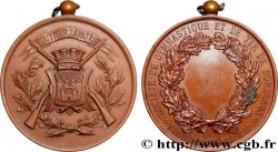TROISIÈME RÉPUBLIQUE Médaille, Société de gymnastique et tir de Bordeaux