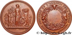 TROISIÈME RÉPUBLIQUE Médaille, Comice agricole