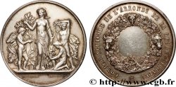 TROISIÈME RÉPUBLIQUE Médaille, Comice agricole