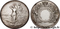 III REPUBLIC Médaille, Comice Agricole