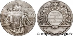 III REPUBLIC Médaille, Comice agricole