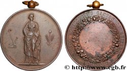 SOCIÉTÉS D AGRICULTURE, HORTICULTURE, PÊCHE ET CHASSE Médaille, Comice agricole