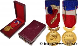 V REPUBLIC Médaille d’honneur du Travail, Ministère du Travail, Or