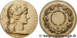 III REPUBLIC Médaille, Comice d’encouragement à l’agriculture et à l’horticulture
