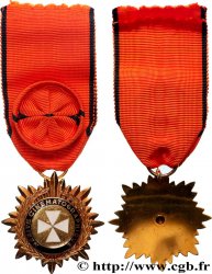 V REPUBLIC Médaille, Mérite cinématographique