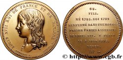 METALLIC SERIES OF THE KINGS OF FRANCE  Médaille, Louis XVIII - 68 - refrappe ultra-moderne