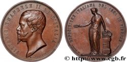 ITALY - KINGDOM OF ITALY - VICTOR-EMMANUEL II Médaille, Exposition italienne à Florence