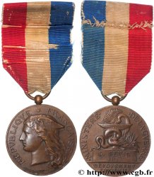 TROISIÈME RÉPUBLIQUE Médaille, Épidémies, Ministère de la guerre TTB+