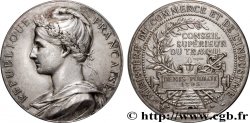 III REPUBLIC Médaille de récompense, Conseil Supérieur du Travail