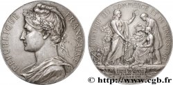 TROISIÈME RÉPUBLIQUE Médaille, Ministère du commerce et de l’industrie, École Nationale d’Arts et Métiers de Cluny