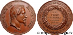 SECONDO IMPERO FRANCESE Médaille, Récompense choléra
