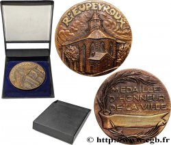 VILLES ET MAIRIES Médaille, Honneur de la ville