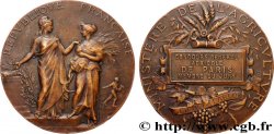III REPUBLIC Médaille, Concours général agricole, membre du jury