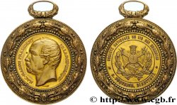 TROISIÈME RÉPUBLIQUE Médaille, Société nationale du tir des communes