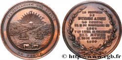 ARGENTINE - RÉPUBLIQUE ARGENTINE Médaille, Inauguration du port à la Plata