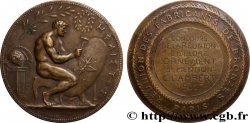 TERCERA REPUBLICA FRANCESA Médaille, Concours de La Réunion, Ciselure et Ornement