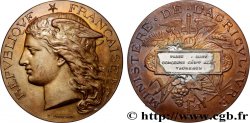 III REPUBLIC Médaille, Concours général agricole, taureaux