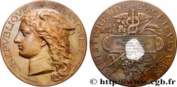 III REPUBLIC Médaille, Concours général d’animaux gras, espèce porcine