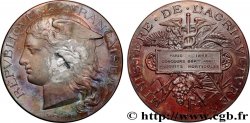 III REPUBLIC Médaille, Concours général agricole, produits horticoles