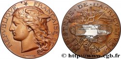 TERZA REPUBBLICA FRANCESE Médaille, Concours régional agricole