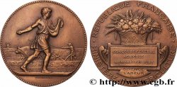III REPUBLIC Médaille, Concours général agricole, membre du jury