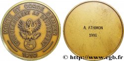 V REPUBLIC Médaille, Encouragement au Dévouement