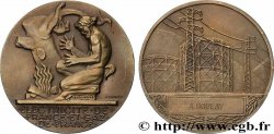 V REPUBLIC Médaille de mérite EDF / GDF