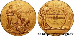 III REPUBLIC Médaille, Offert par le syndicat agricole de la Seine-Inférieure