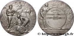 III REPUBLIC Médaille, Offert par le syndicat agricole de la Seine-Inférieure
